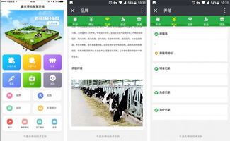 羊联网溯源软件 赋能畜牧业的智能技术革新